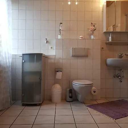 Apartment Veronika's
